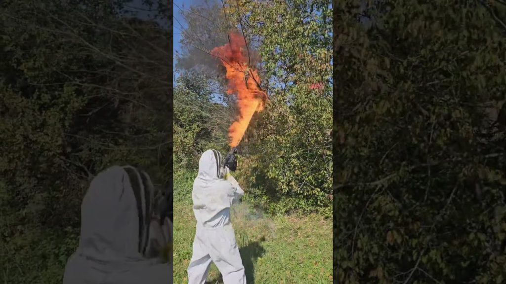 Flamethrower vs. hornets nest #shorts #bugs #funny