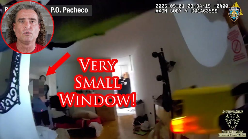 NYPD Officer Uses Fantastic Marksmanship to End Hostage Situation