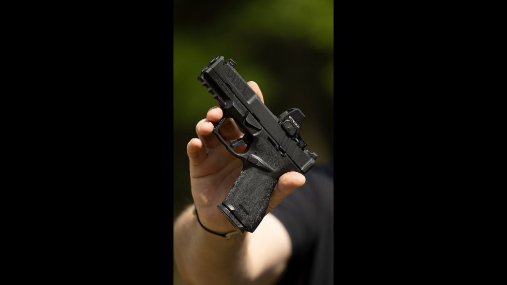 Which would you rather have for concealed carry? (Echelon 4 Comp vs Bodyguard 2)