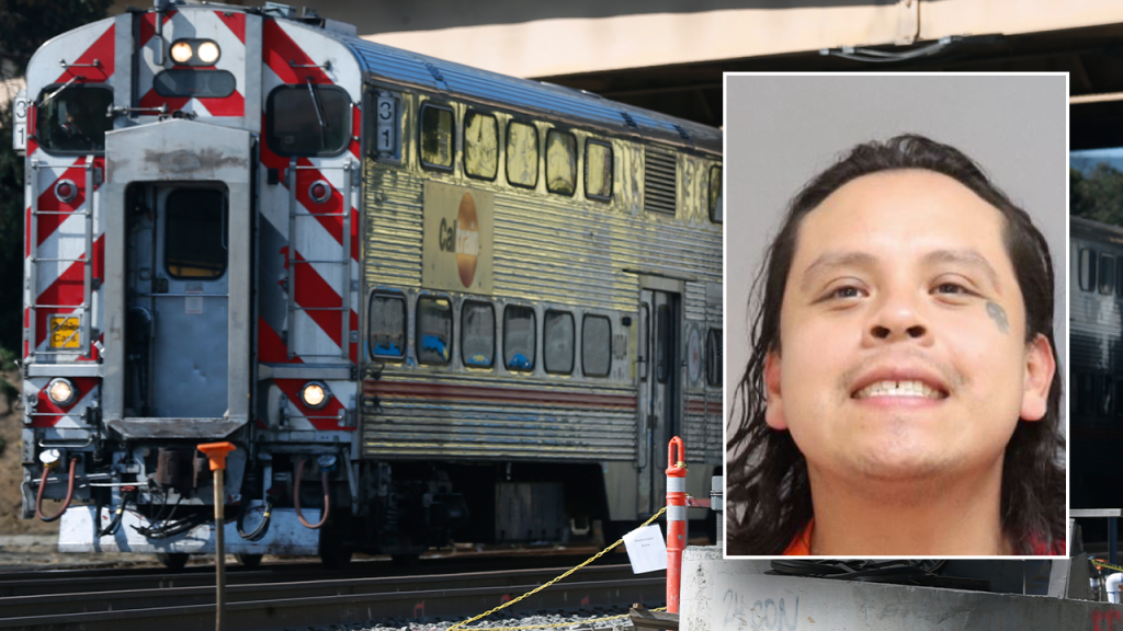 Blue city felon with violent history arrested in deadly train platform stabbing after parole release: report Blue city felon with violent history arrested in deadly train platform stabbing after parole release: report