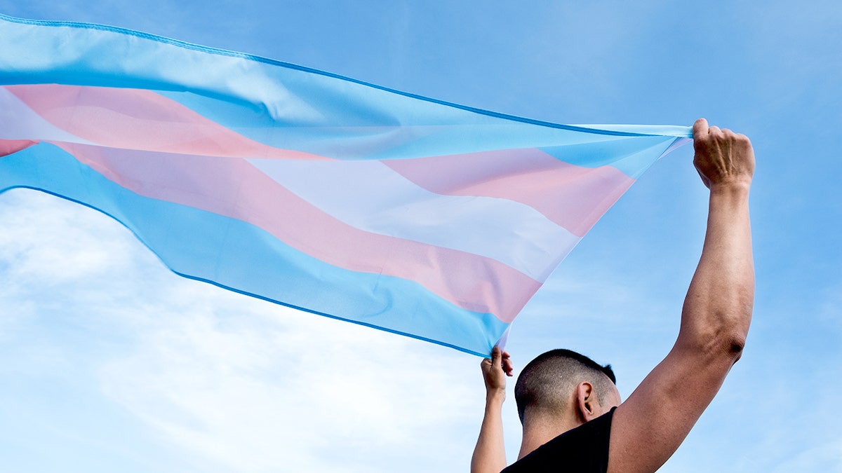 Activist holding a transgender flag