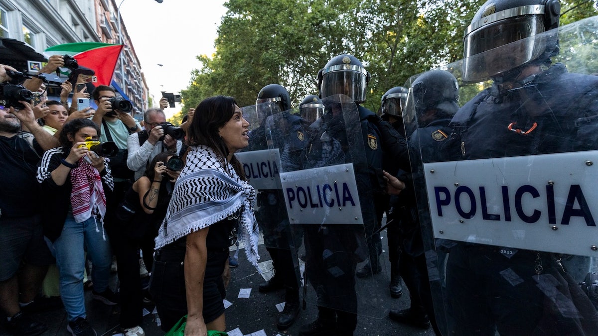 A Pro-Palestinian protester