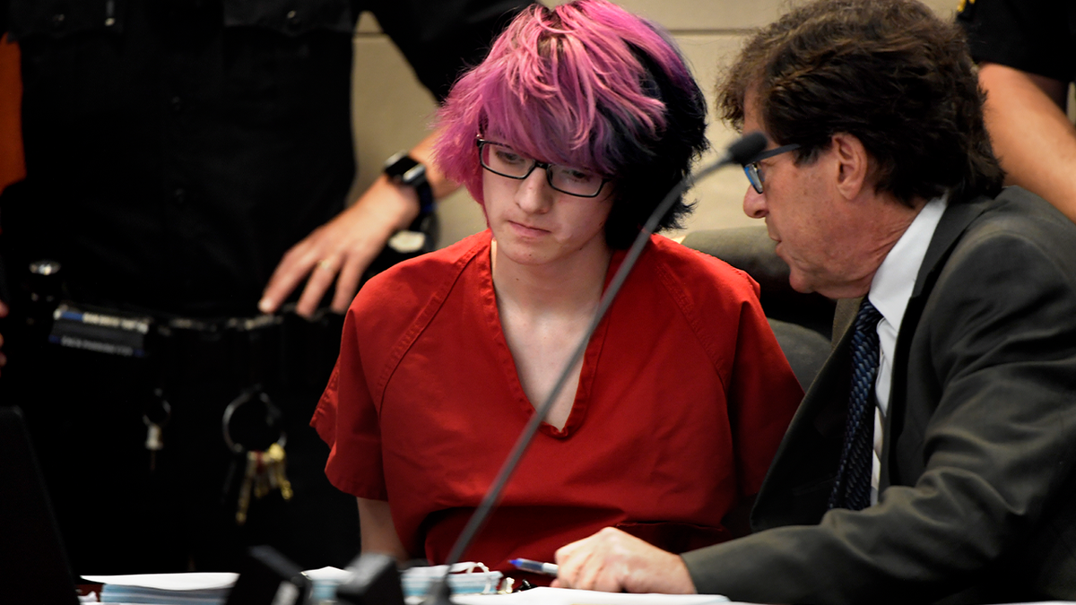 STEM School shooting suspect in court