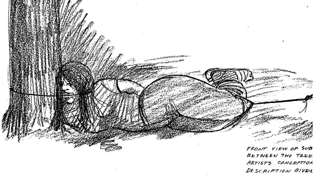 A sketch of Norma Countryman, a teen who survived suspected serial killer Warren Forrest's attack.