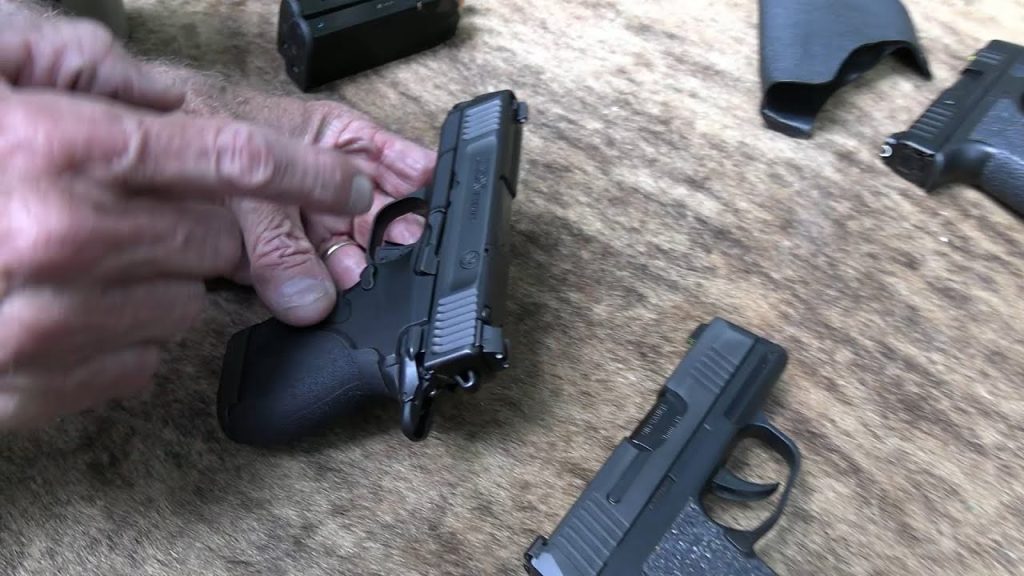 S&W  CSX E Series  VS  SIG P365