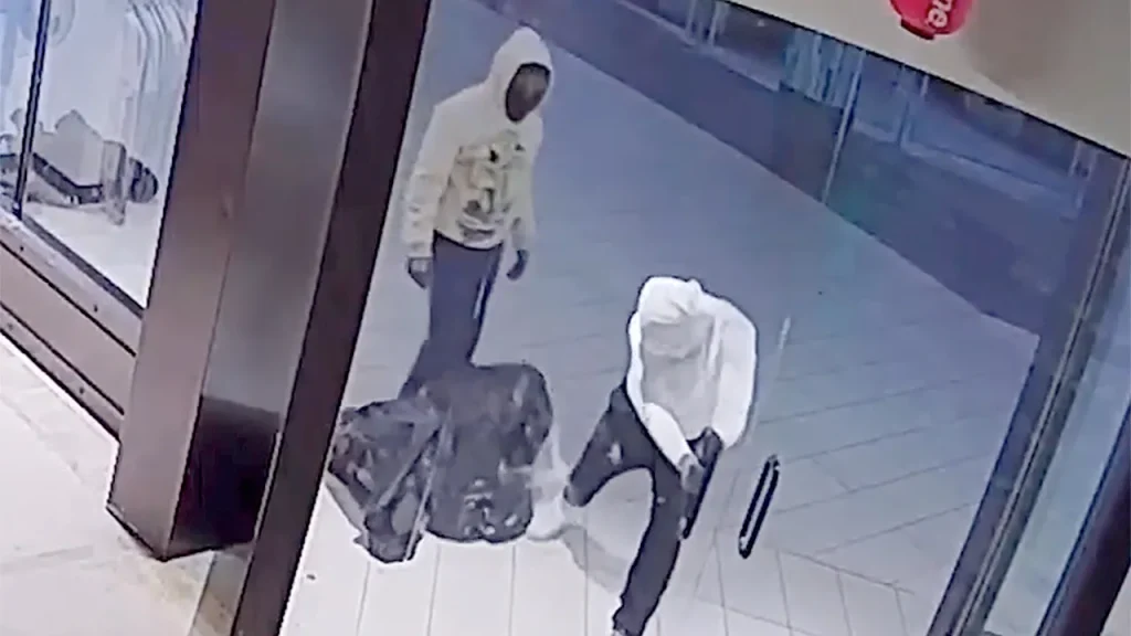 Masked looters caught on camera trashing Florida store, stealing clothes