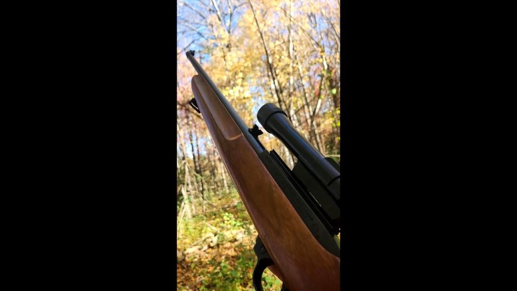 What was your first gun? 🤔