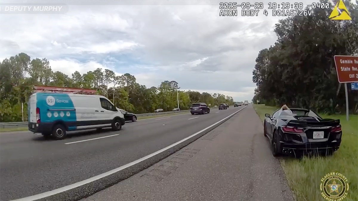 Deputy approaches Michael Stanek's car