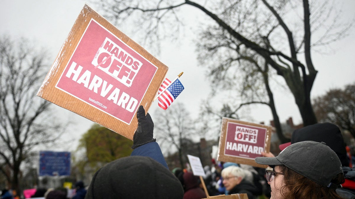 A protester holds up a sign that reads "Hands off! Harvard"