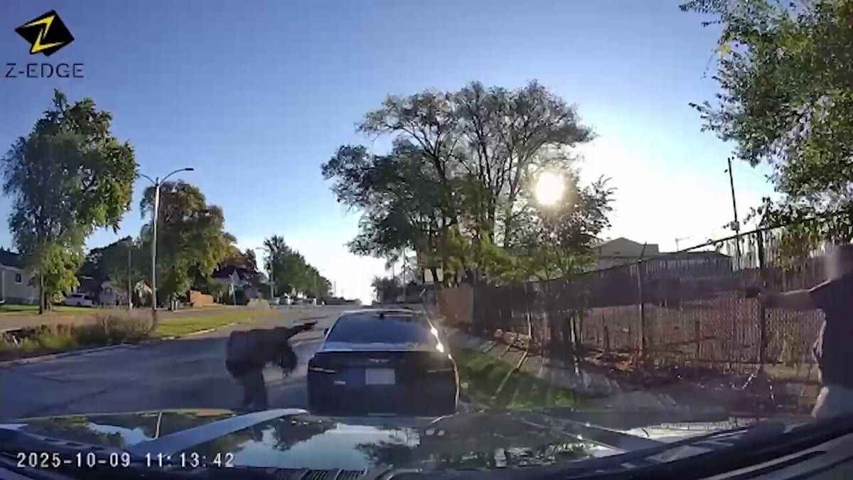 Milwaukee police officer shooting cam footage