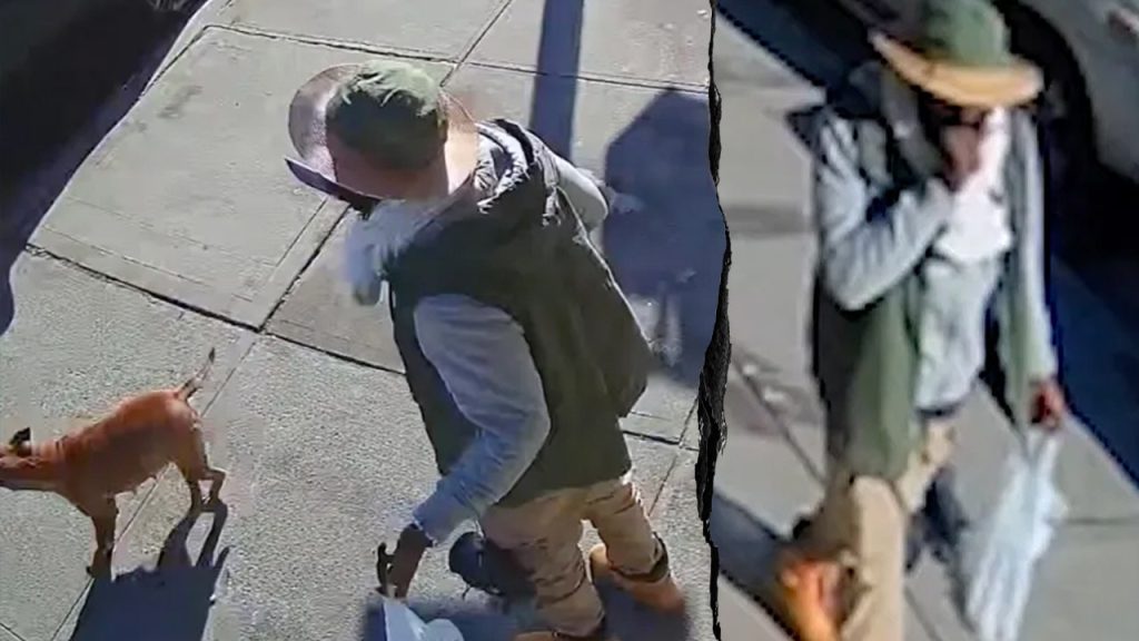 Machete-wielding offender with 20 arrests charged in blue city hit-and-run that killed cancer survivor Machete-wielding offender with 20 arrests charged in blue city hit-and-run that killed cancer survivor