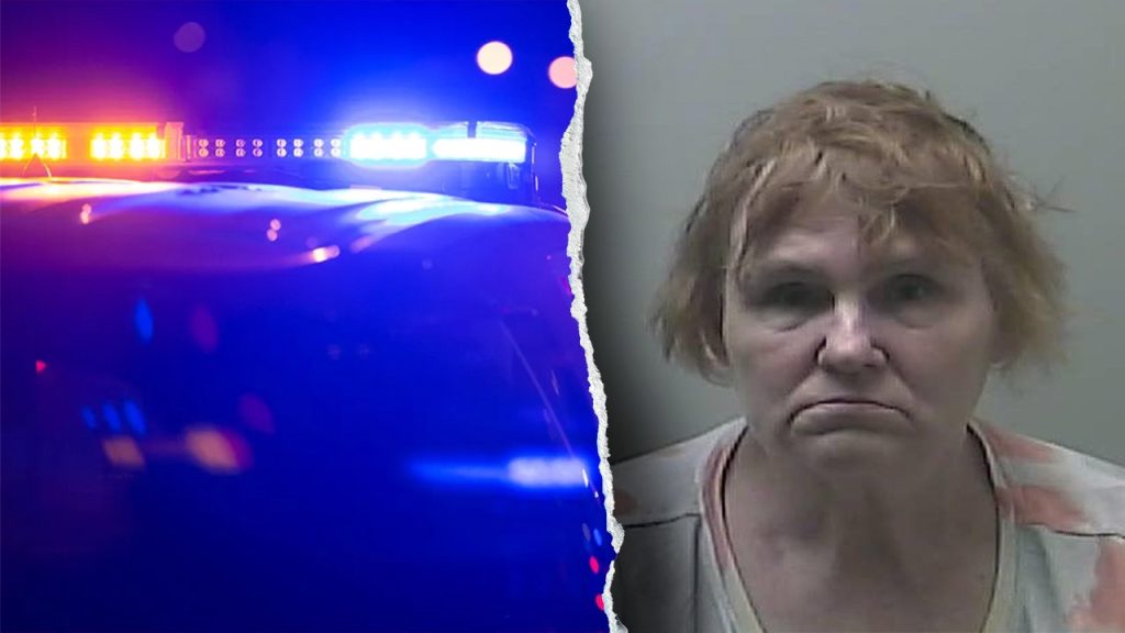Michigan babysitter accused of sexually abusing children in her care faces 47 charges, police say
