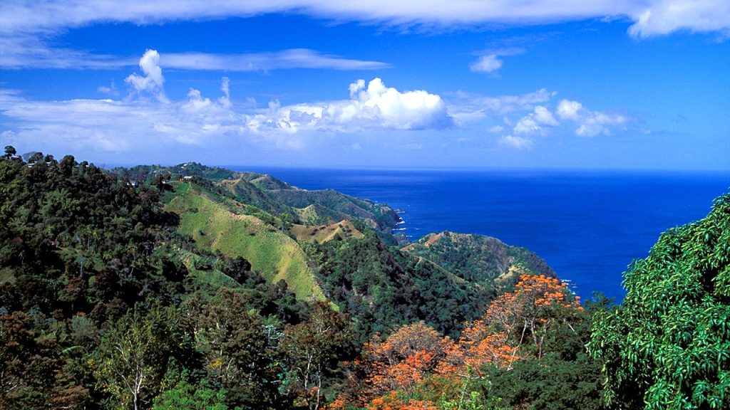 American tourist found stabbed to death in Tobago