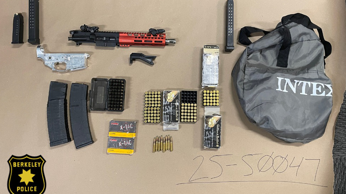 high-capacity ammunition magazines, more than 900 rounds of ammunition and parts for an assault rifle