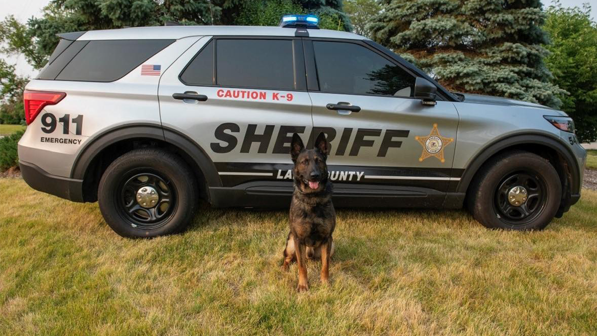 Lake County Sheriff’s Office car