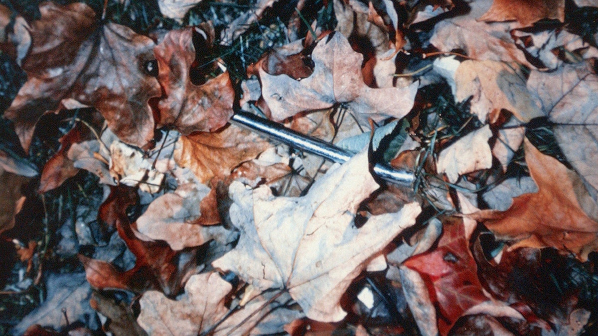 Trial evidence in the Martha Moxley murder trial