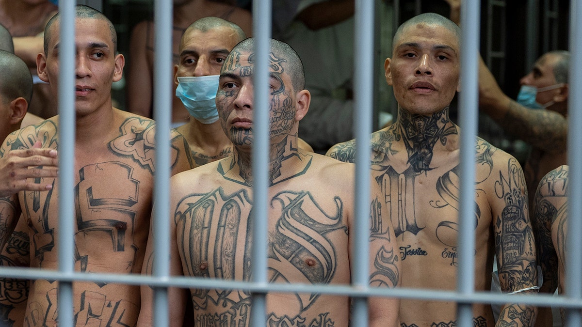 Prisoners with MS-13 gang tattoos look out of cell in El Salvador