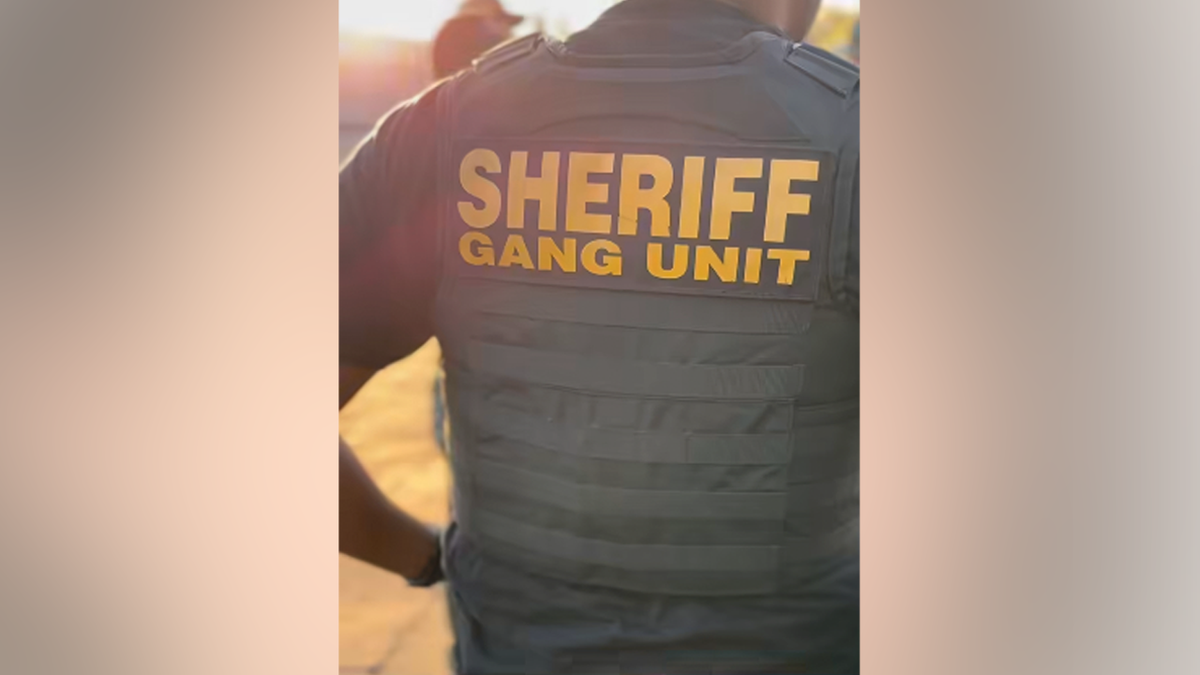 Back of a Sacramento County gang unit officer