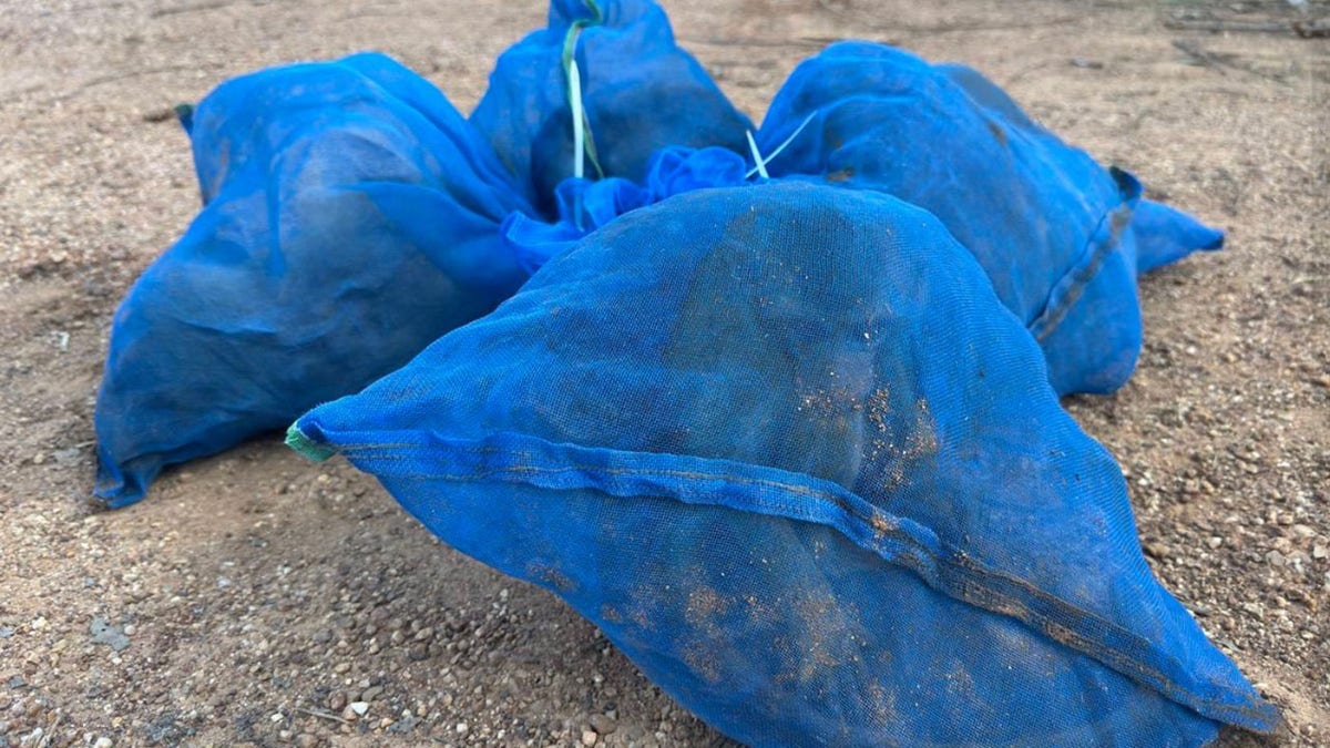 Monkeys in a blue net bag