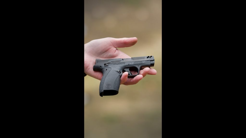 (Navy Seal Reviews) S&W Bodyguard 2.0 Carry Comp Performance Center