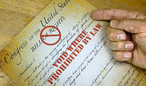 The Constitution as a Weak Reed The Constitution as a Weak Reed