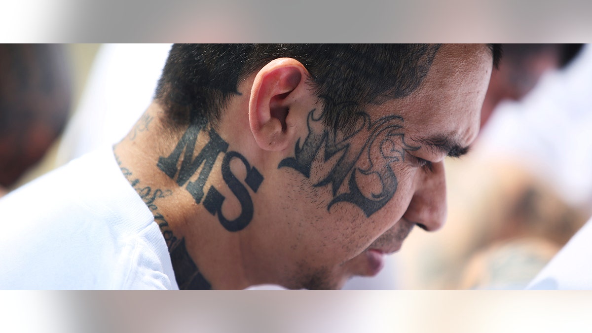 Mara Salvatrucha (MS-13) gang members wait to be escorted upon their arrival at the maximum-security jail in Zacatecoluca, El Salvador, June 22, 2017. REUTERS/Jose Cabezas - RTS189RS