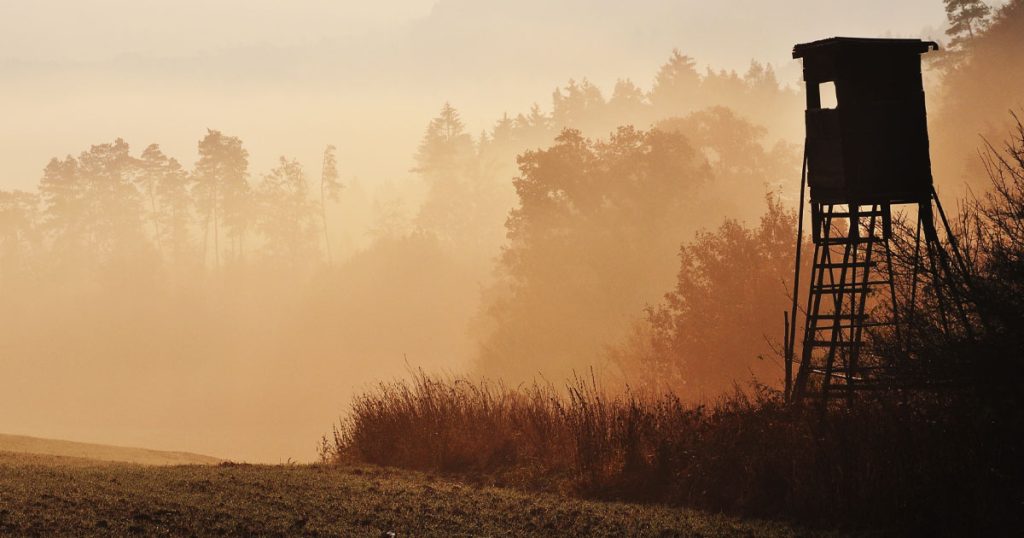 Tragic Hunting Accident Claims Life of Louisiana Man in Lafourche Parish Tragic Hunting Accident Claims Life of Louisiana Man in Lafourche Parish
