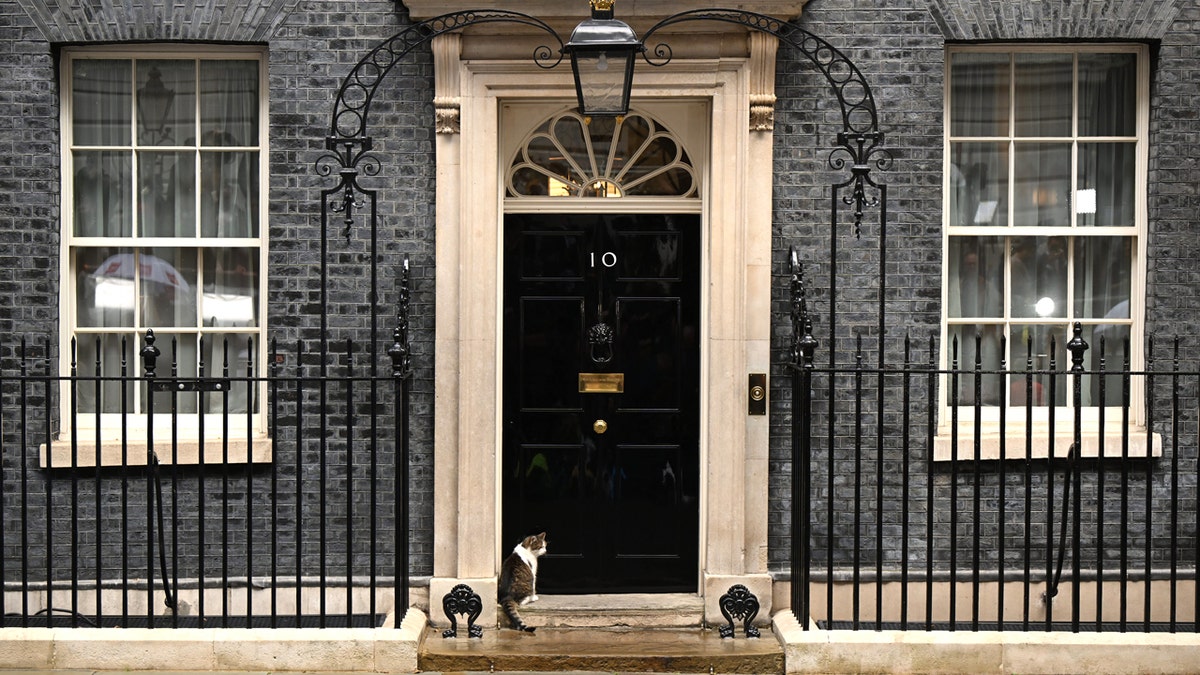 10 Downing Street with Larry the cat outside.