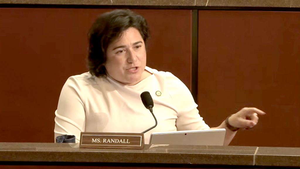 Democratic lawmaker says focus should be on ‘White men’ at Minnesota fraud hearing