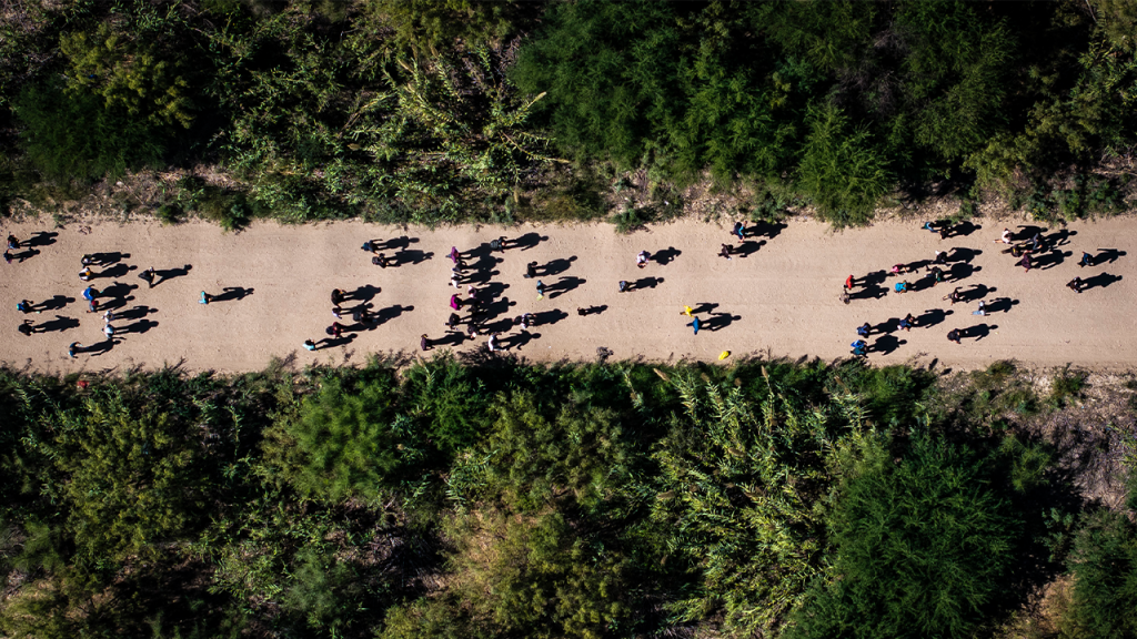 US drug overdose deaths plummet 20% as Trump administration cracks down on southern border US drug overdose deaths plummet 20% as Trump administration cracks down on southern border