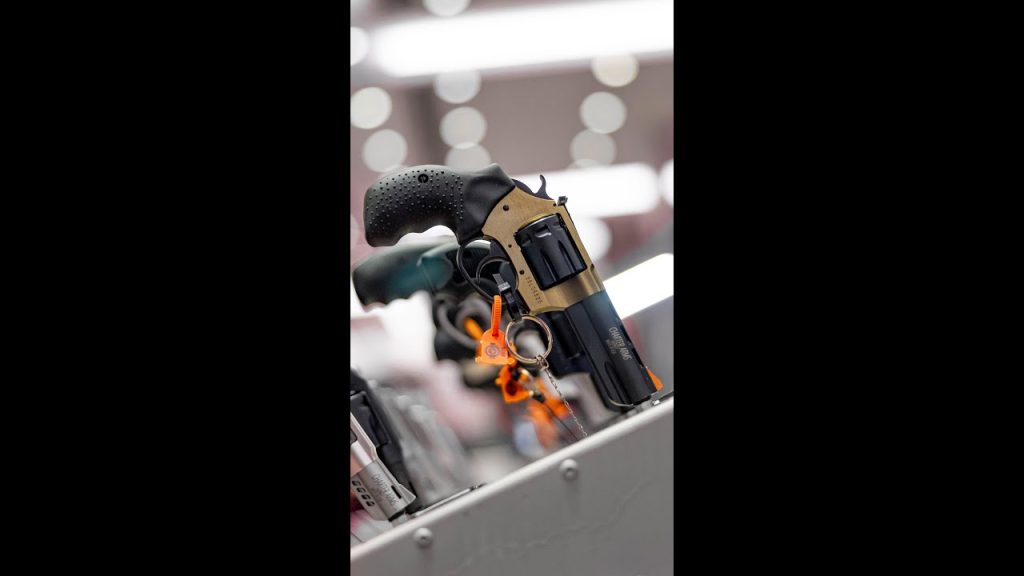 Pathfinder 2 from Charter Arms .22