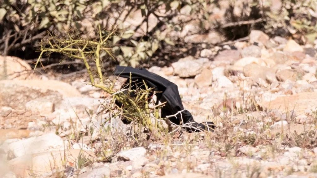 Nancy Guthrie case investigators find set of black gloves near roadside