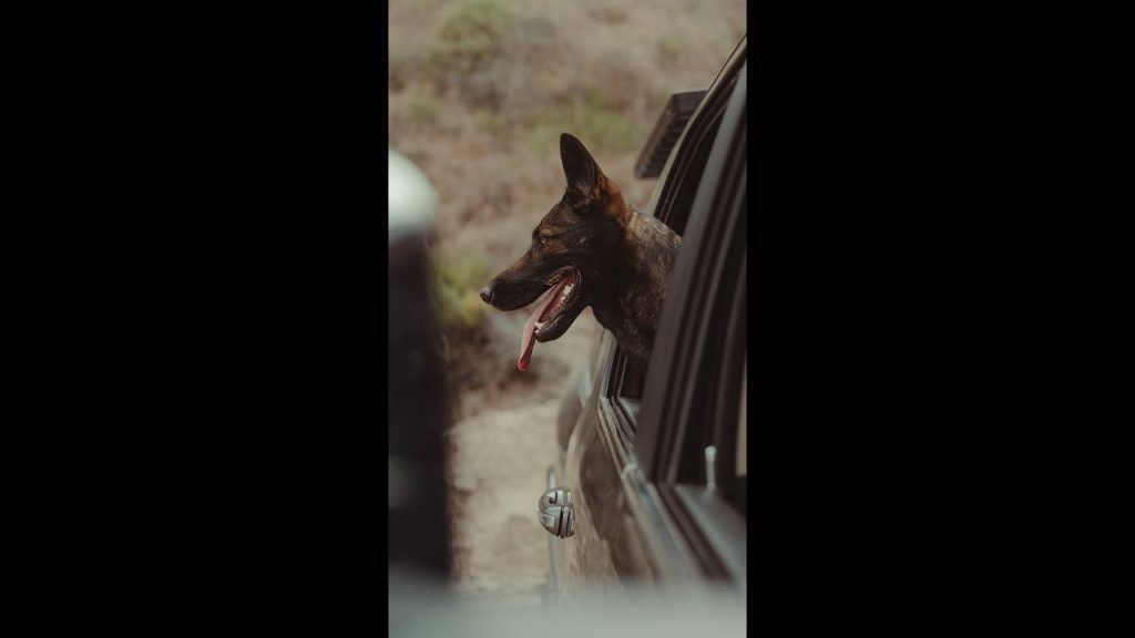 What would you do in this situation?