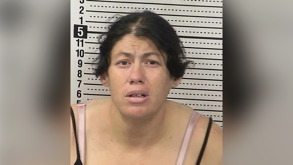 New Mexico mother accused of drowning newborn in portable toilet after giving birth