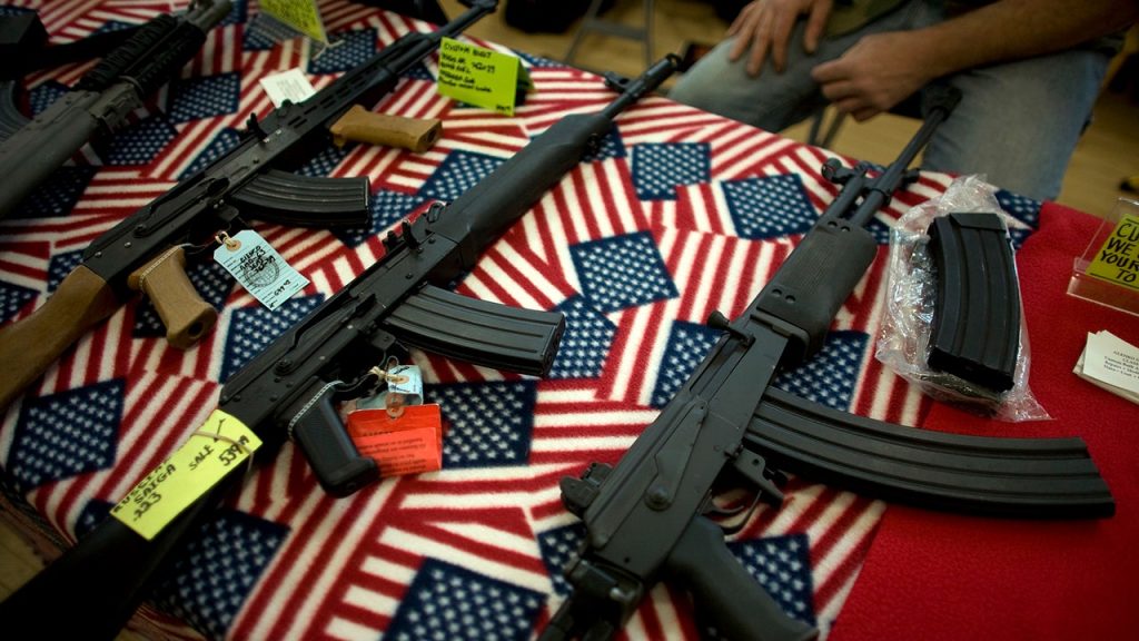 Gun rights expert says Minnesota Dems tried to block her testimony on firearm bills to ‘avoid’ policy debate Gun rights expert says Minnesota Dems tried to block her testimony on firearm bills to ‘avoid’ policy debate