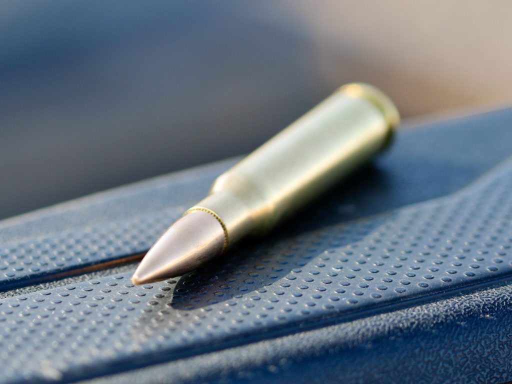 .308 Winchester Ammo Review — Brands and Performance