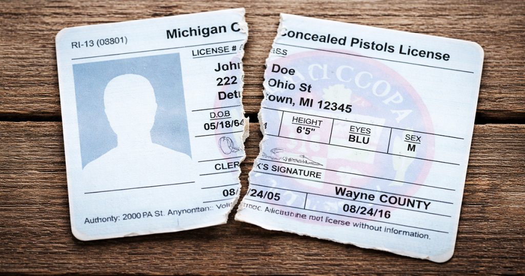 Michigan Could Become 30th Constitutional Carry State Under New House Bills