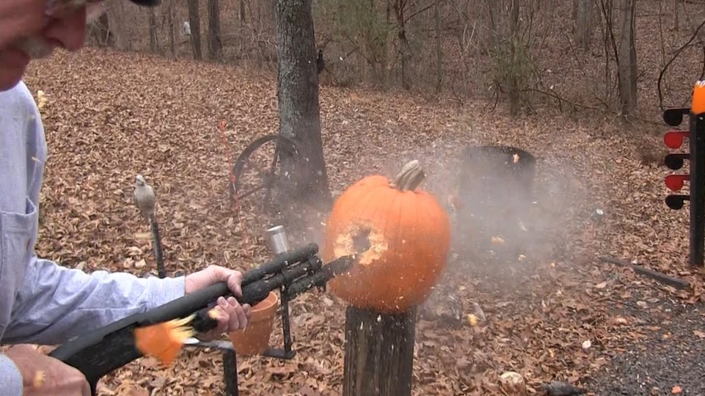 Are Slugs Underrated?