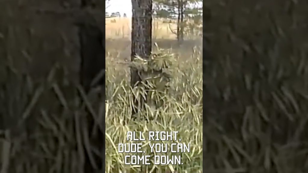 Best military camoflauge ever? Sniper school 1994 #vhs #throwback #military #shorts