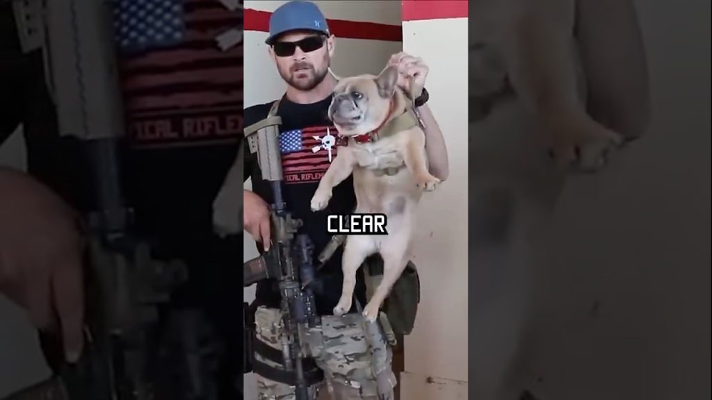 How Navy Seals Clear A Room #specialforces #navyseal #shorts