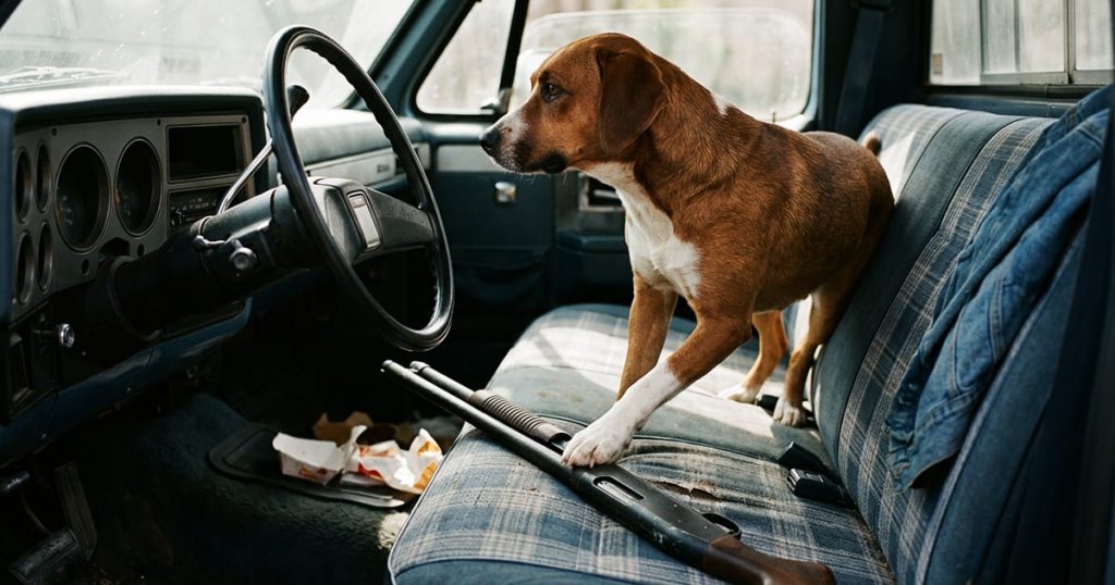 Dog Steps on Loaded Shotgun in Parked Truck, Shoots Woman Stopped at Nebraska Traffic Light
