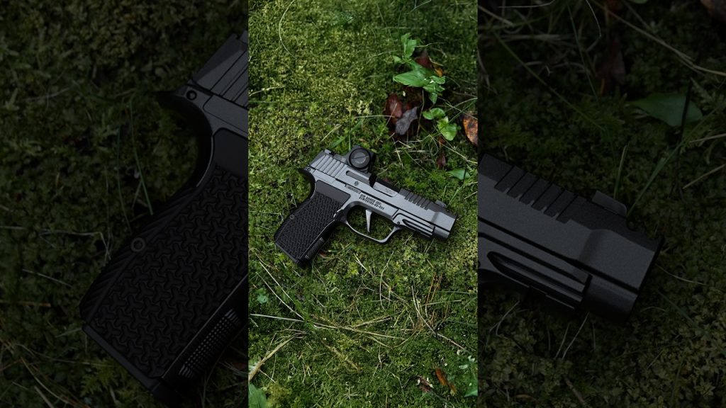 Flattest shooting .380 (SIG P365 LUXE)