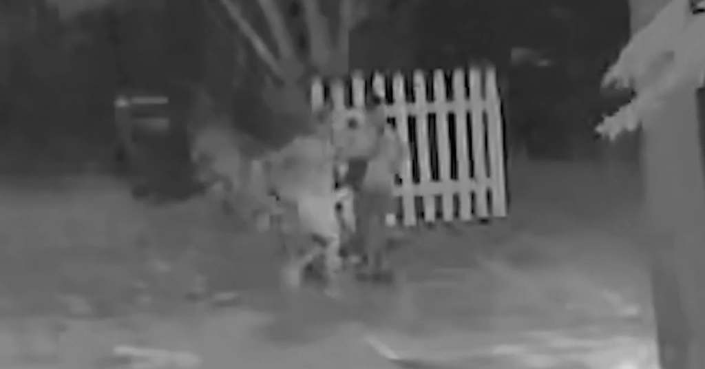 Machete Attack Thwarted: Fort Worth Neighbor Shoots And Kills Man Dragging Screaming Woman