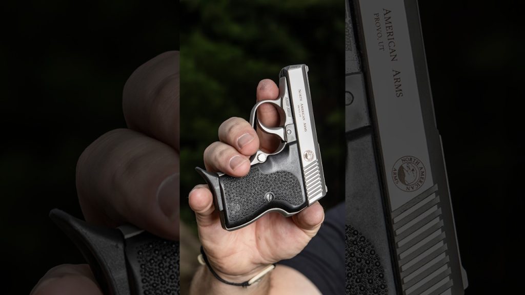 North American Arms .380 Guardian