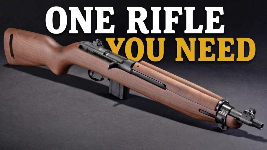 The Best SCOUT Rifle Only Costs 0!
