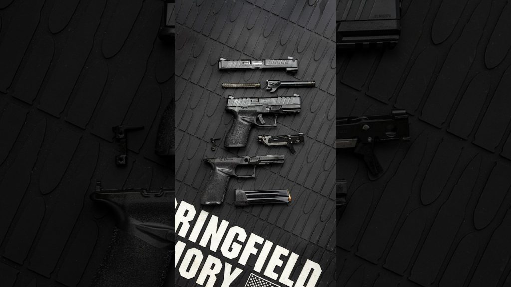 Springfield Armory Echelon Alpha 🔥