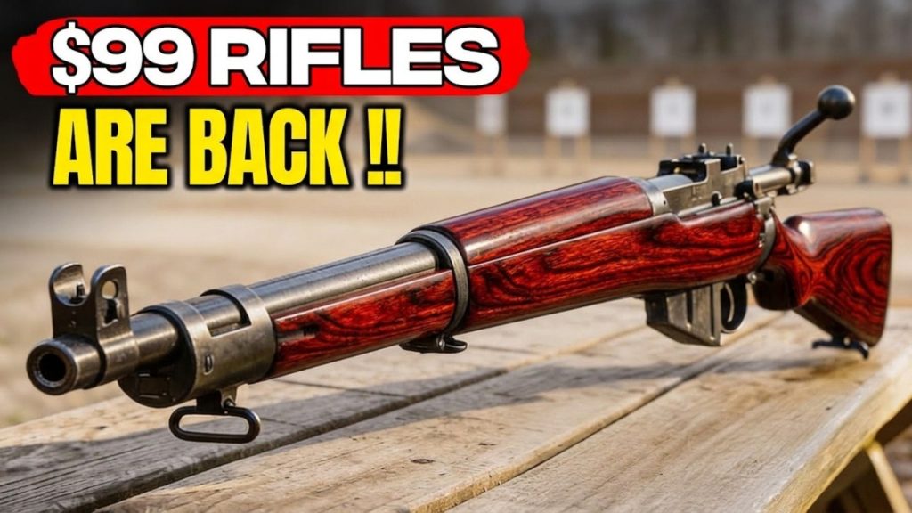 10 Dirt-Cheap GUNS Under 0 You Need to See — FOR NOW!