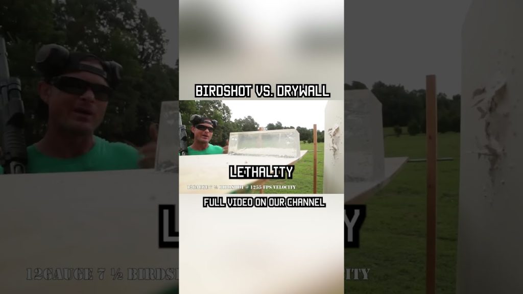 BIRDSHOT vs. DRYWALL #shorts #shotgun #military